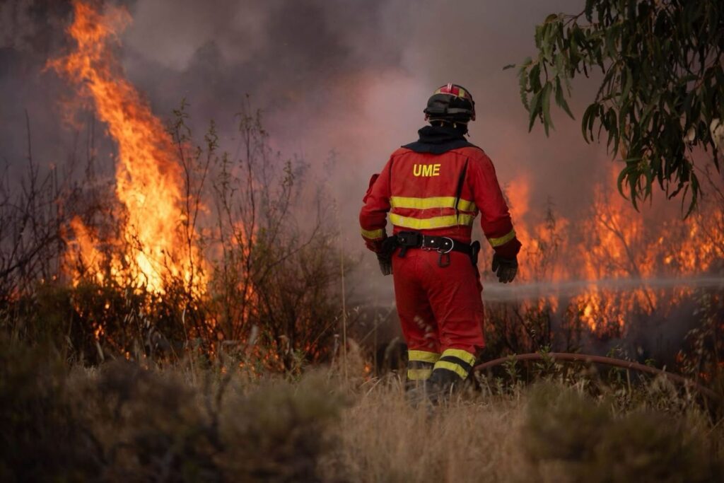 INCENDIO NIEBLA