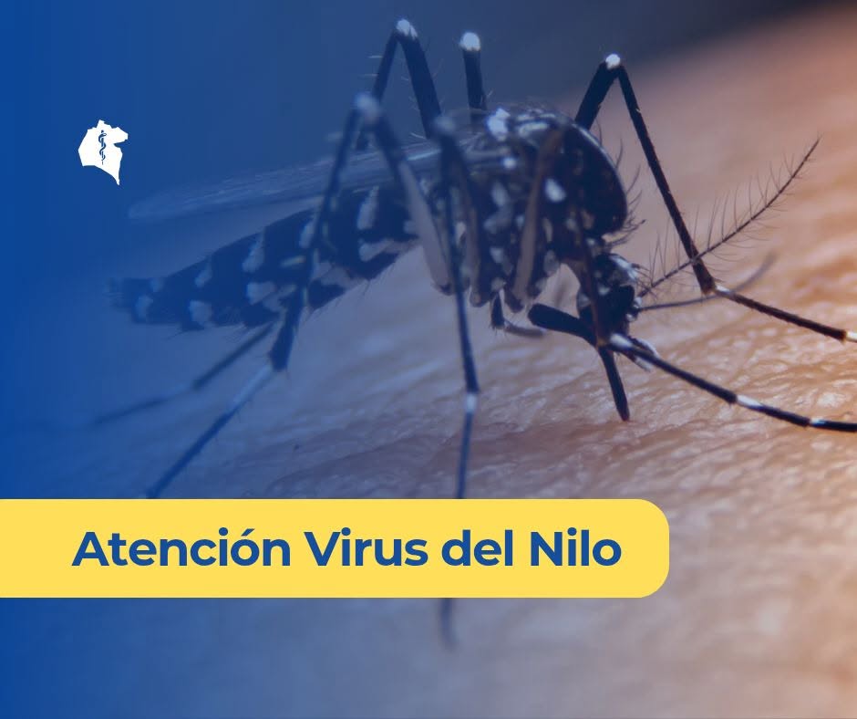 VIRUS DEL NILO